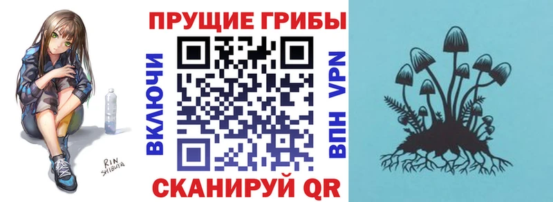 Псилоцибиновые грибы GOLDEN TEACHER  Верхотурье 